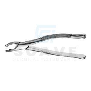 Deciduous Notched Elevator