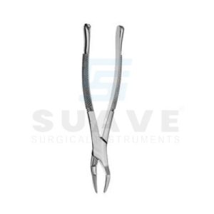 Deciduous Notched Elevator