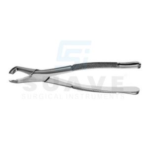 Deciduous Notched Elevator