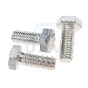 Orthopedic Screws